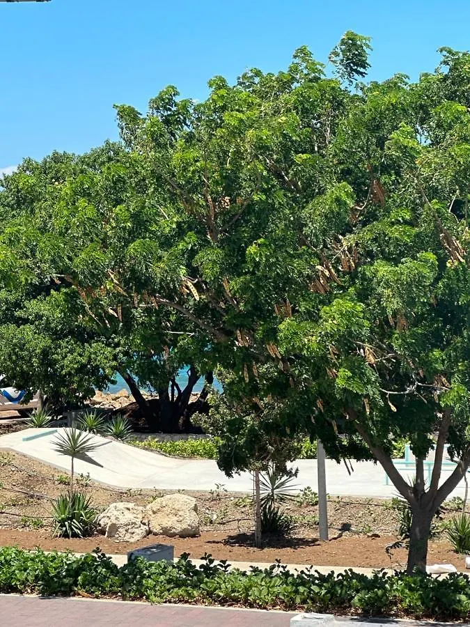 Whitehouse Boulevard, Close To Mambo Beach And City Centre Apartment Willemstad