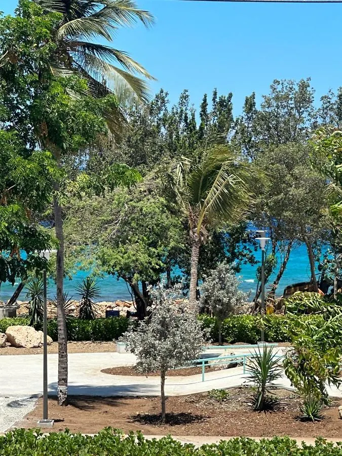 Whitehouse Boulevard, Close To Mambo Beach And City Centre Apartment Willemstad